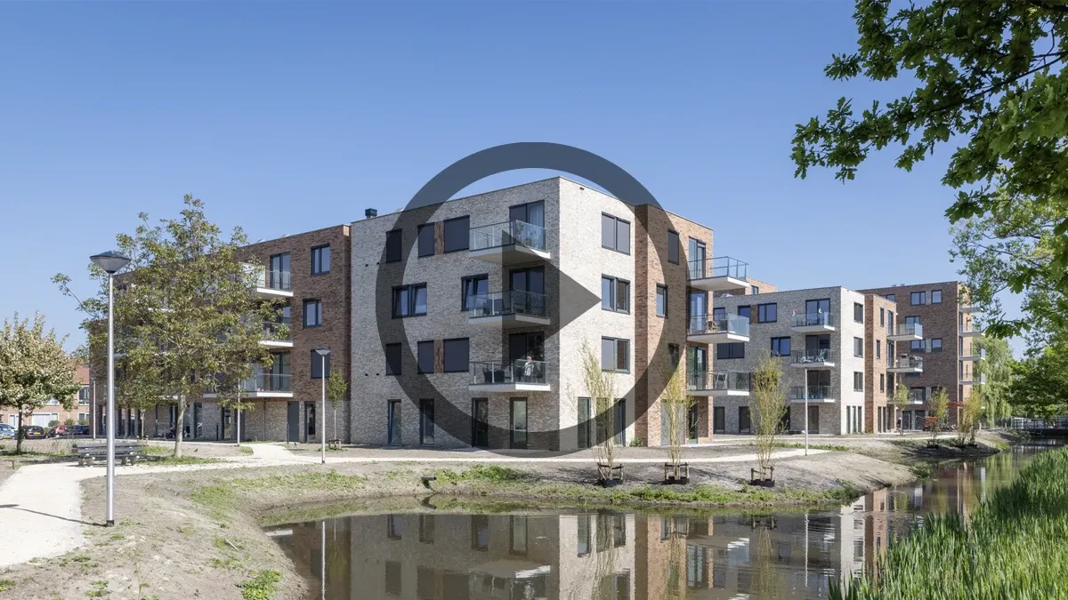 2250331 Stout BS014 Web-1