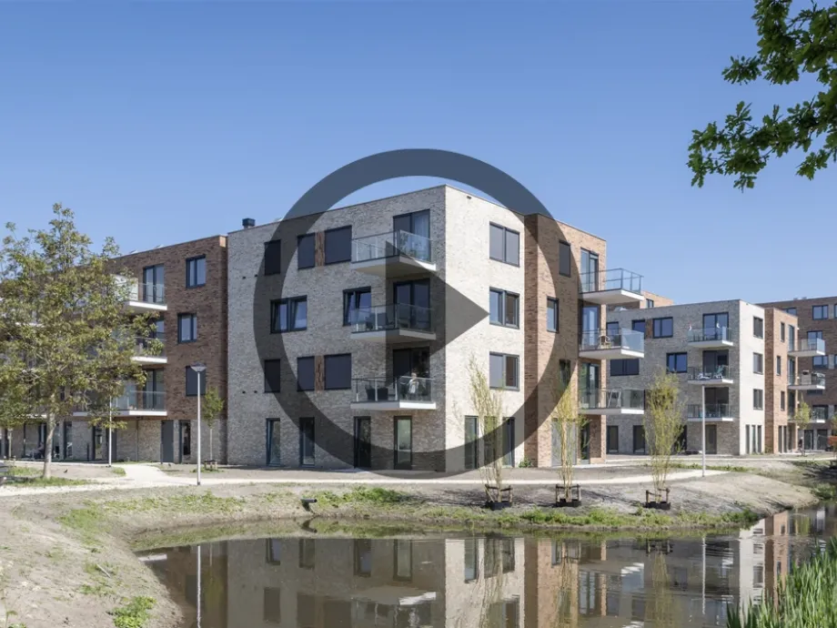 2250331 Stout BS014 Web