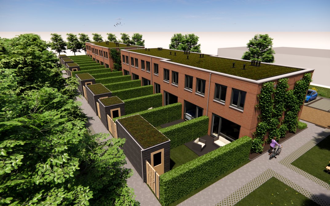 enscape-2024-11-06-15-24-24