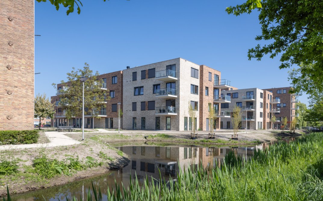 mm-stout-pinksterbloem-leiderdorp-4b4a8854-lr