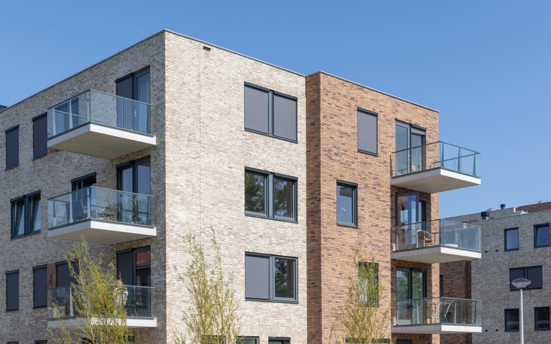 mm-stout-pinksterbloem-leiderdorp-4b4a8863-lr