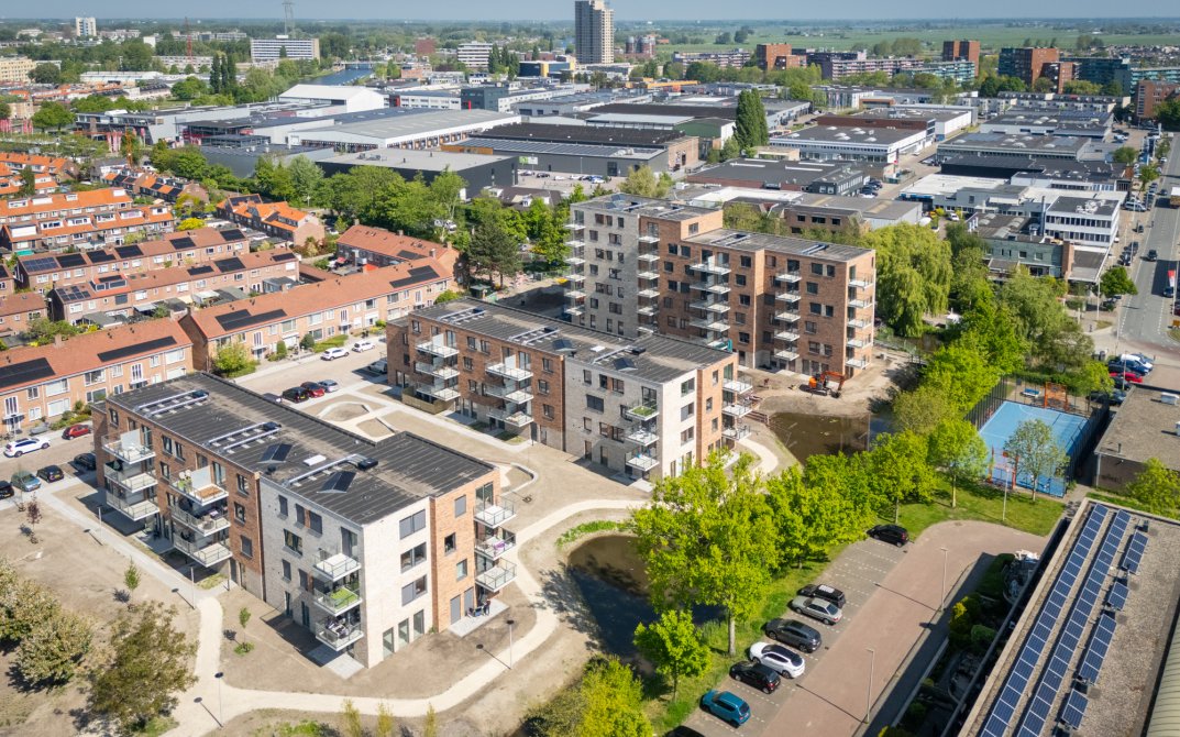 mm-stout-pinksterbloem-leiderdorp-dji-20250501113746-0025-d-lr