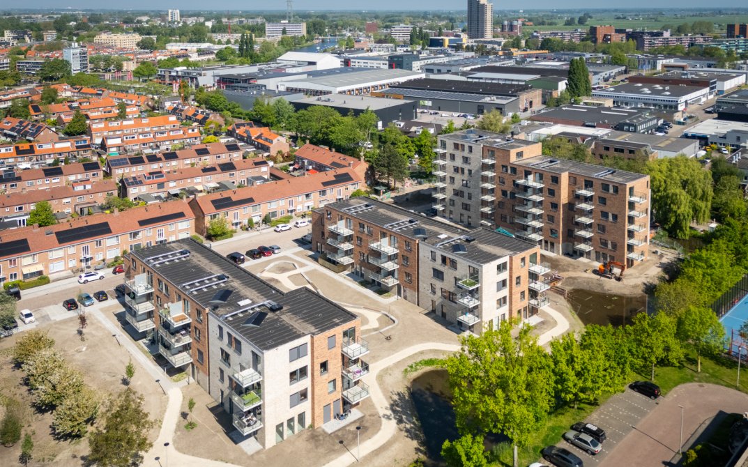 mm-stout-pinksterbloem-leiderdorp-dji-20250501114119-0035-d-lr