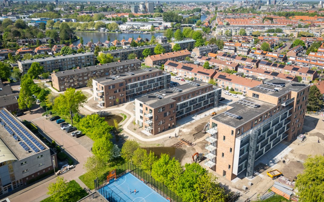 mm-stout-pinksterbloem-leiderdorp-dji-20250501114200-0037-d-lr