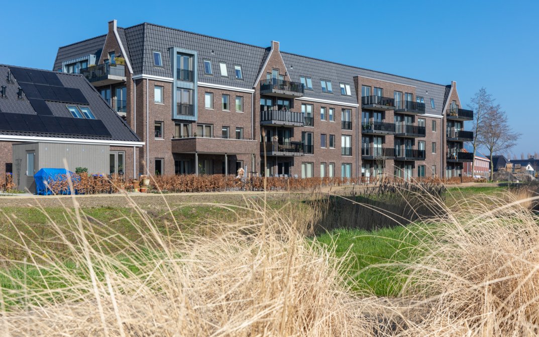 stout-everdinapolder-8r0a7094-lr