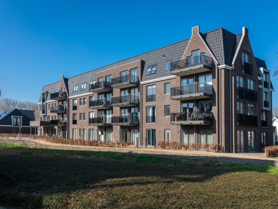 Stout_Everdinapolder_8R0A7100_LR-1