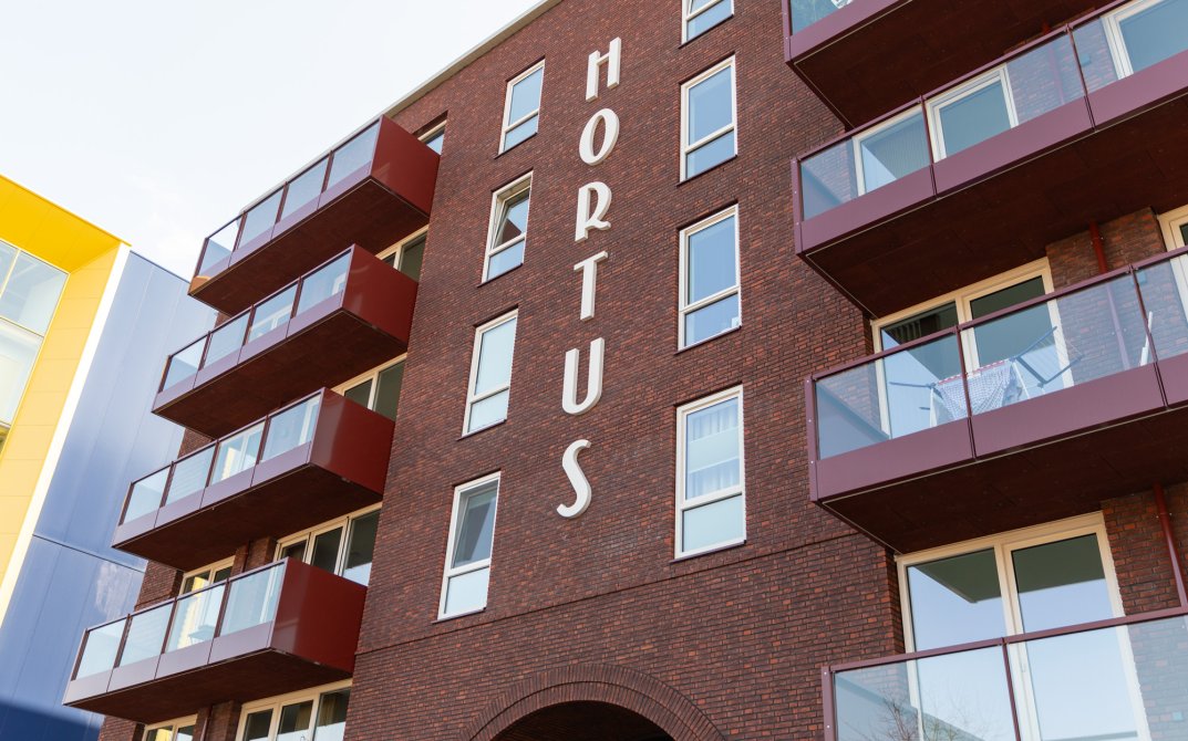 stout-hortus-8r0a7166-lr