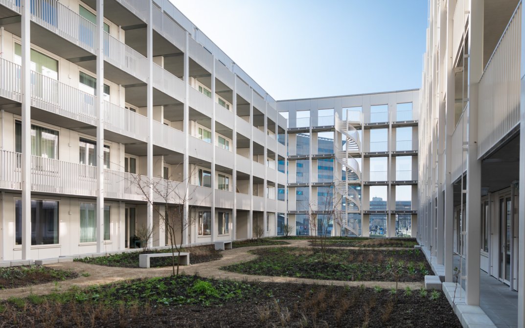 stout-hortus-8r0a7167-lr