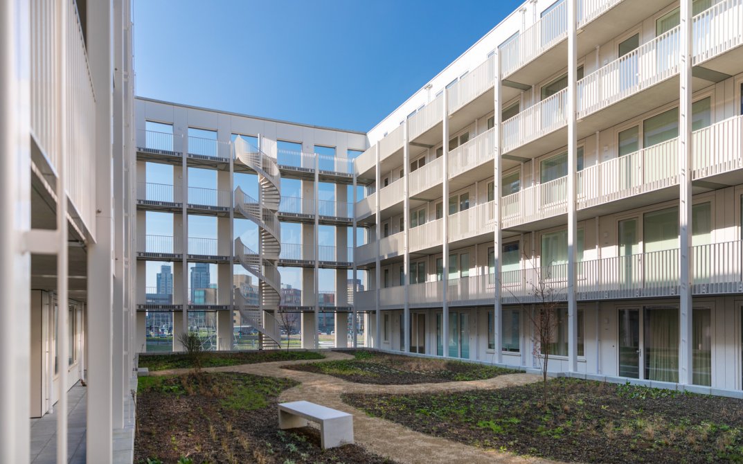 stout-hortus-8r0a7170-lr