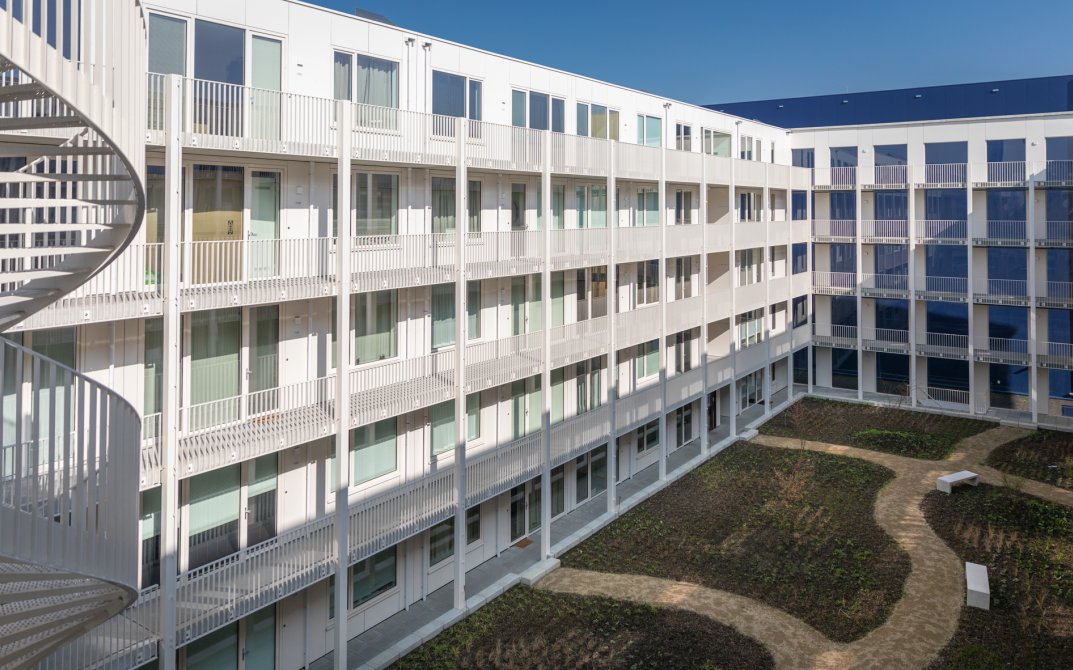 stout-hortus-8r0a7174-lr