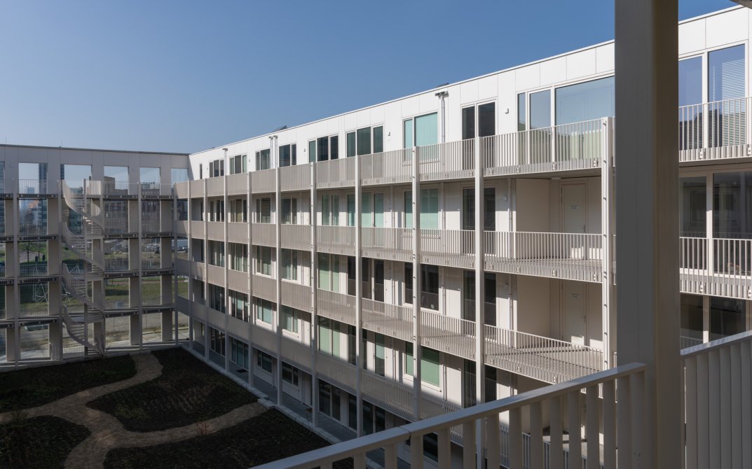 stout-hortus-8r0a7179-lr