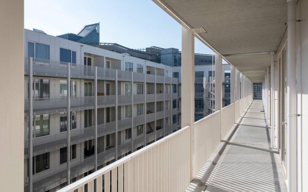 stout-hortus-8r0a7182-lr