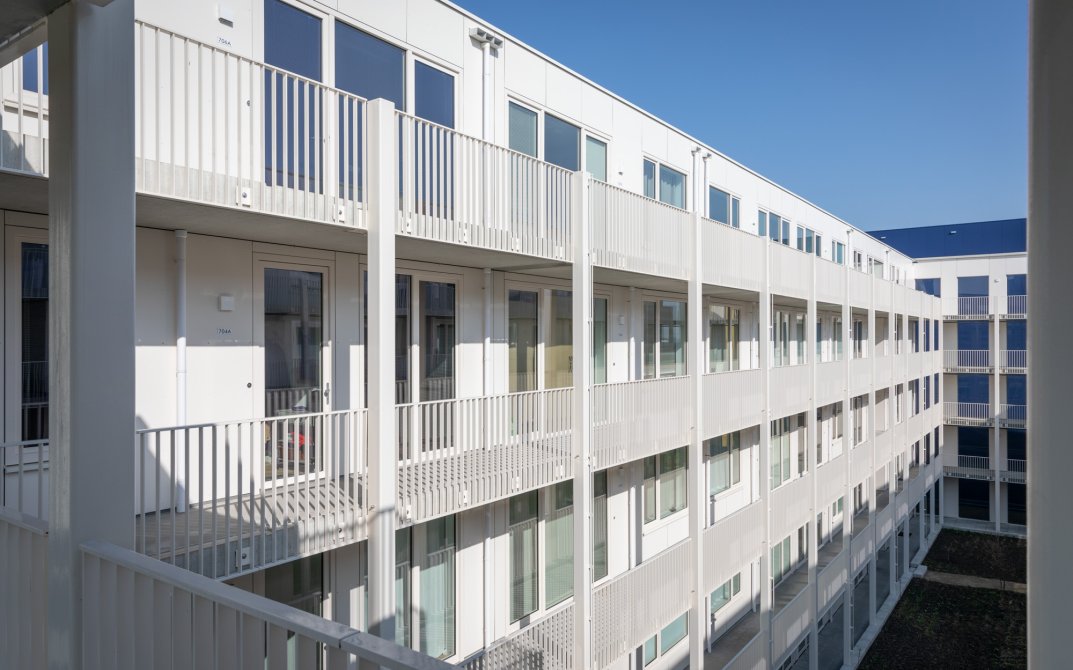 stout-hortus-8r0a7183-lr