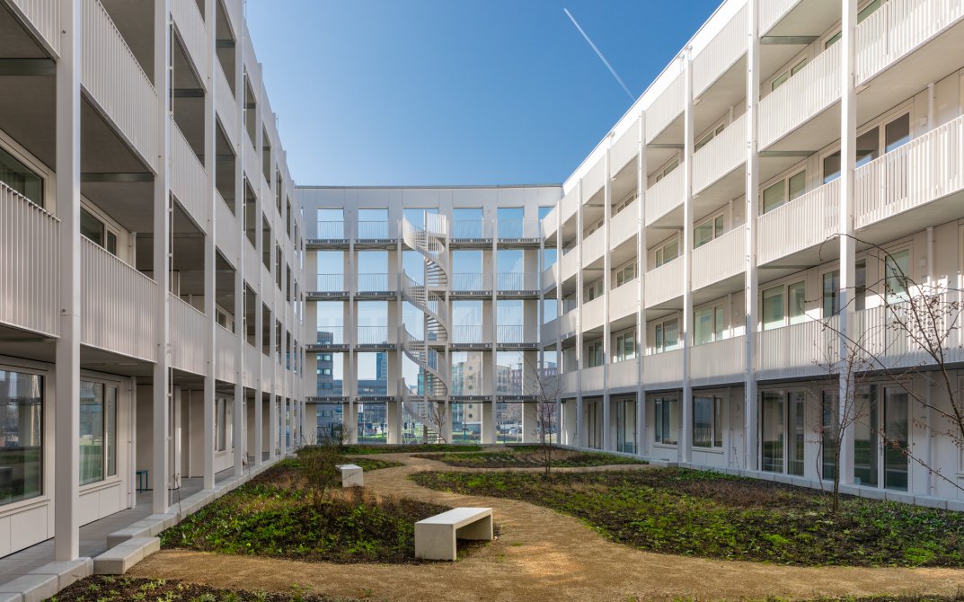 stout-hortus-8r0a7188-lr