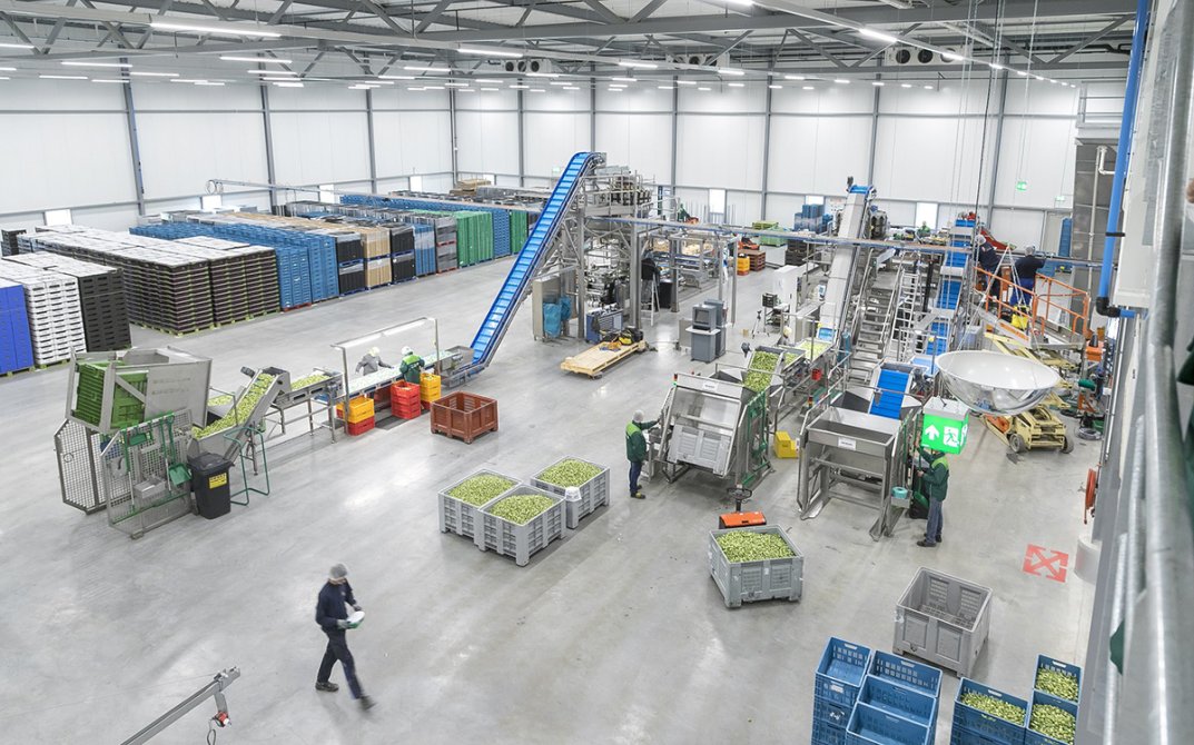 van-oers-bouwonderneming-stout10