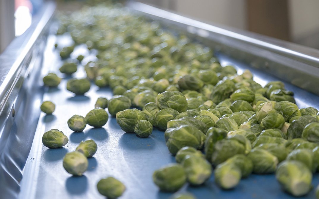 van-oers-bouwonderneming-stout3