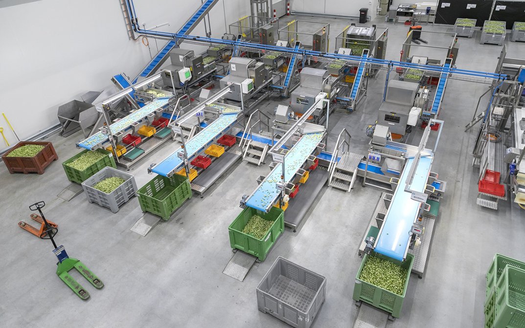 van-oers-bouwonderneming-stout8