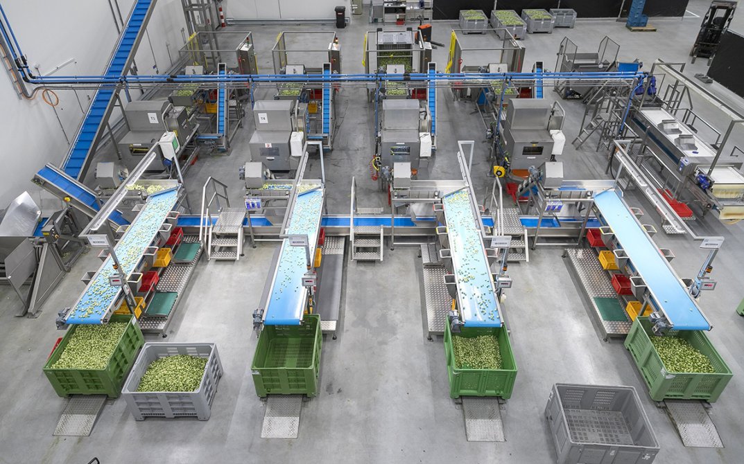 van-oers-bouwonderneming-stout9